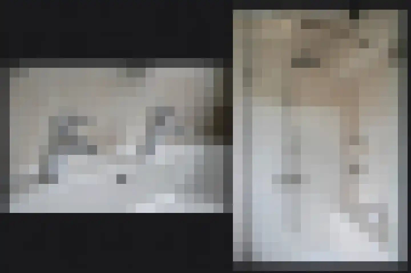 Nachtegaallaan 2 Dodewaard thumbnail 30