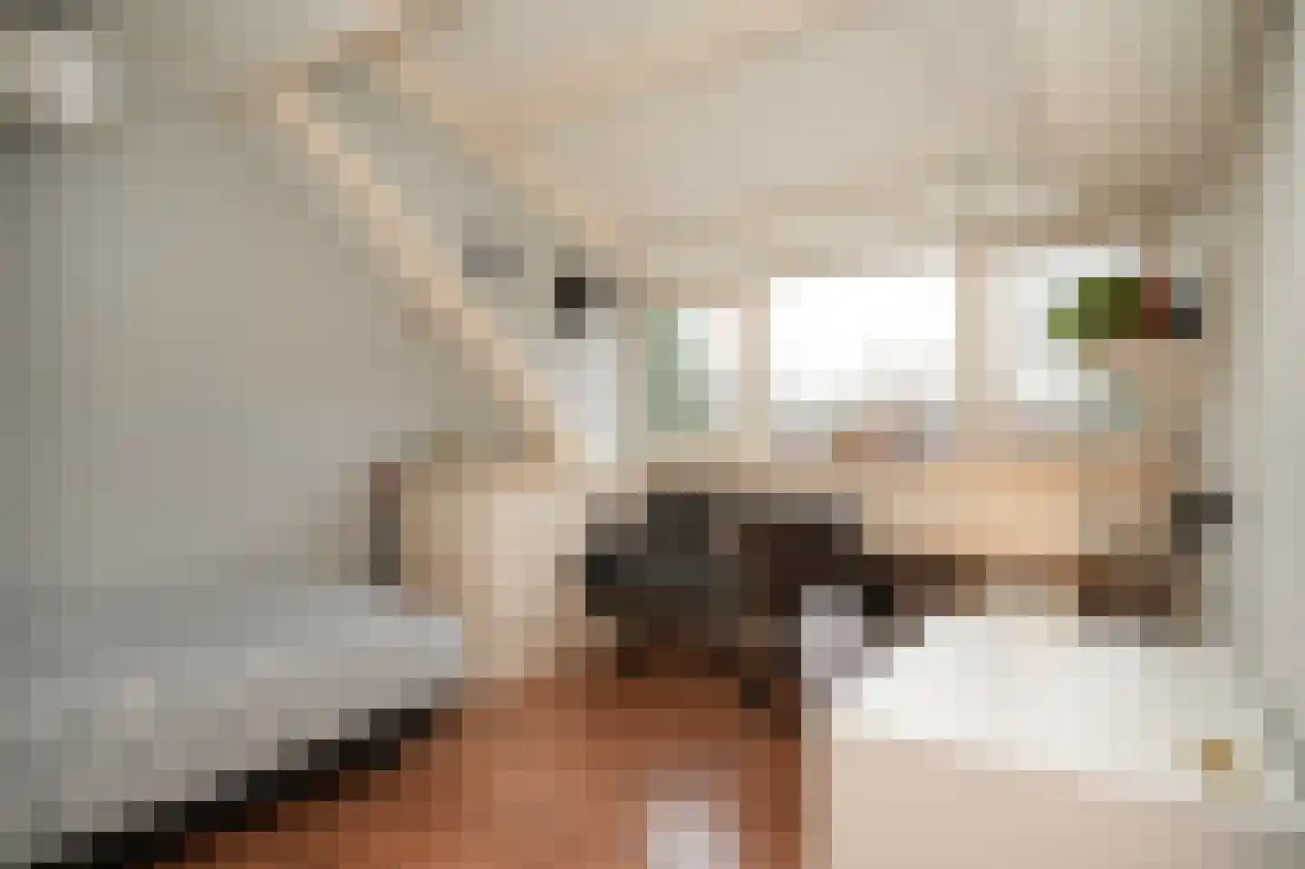 Nachtegaallaan 2 Dodewaard thumbnail 31