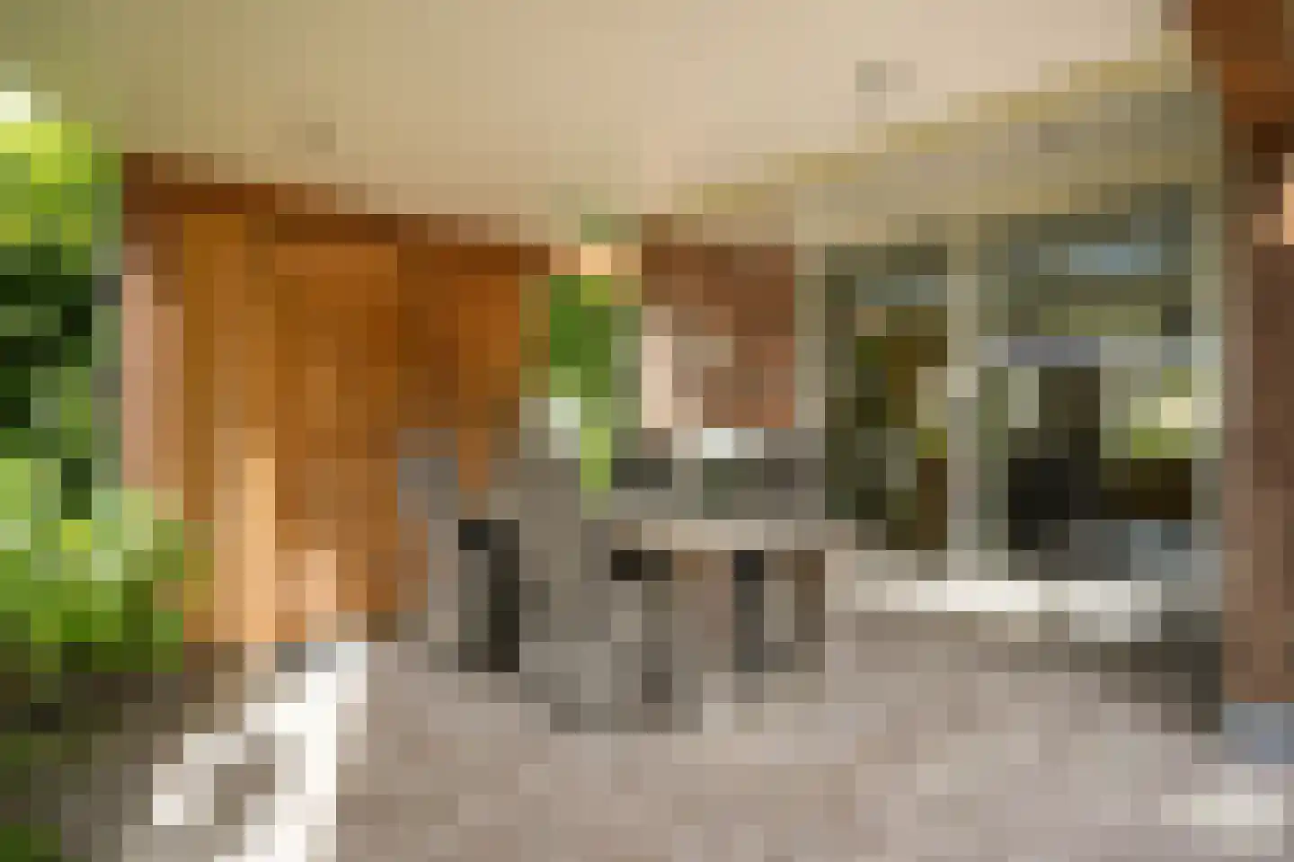 Nachtegaallaan 2 Dodewaard thumbnail 32