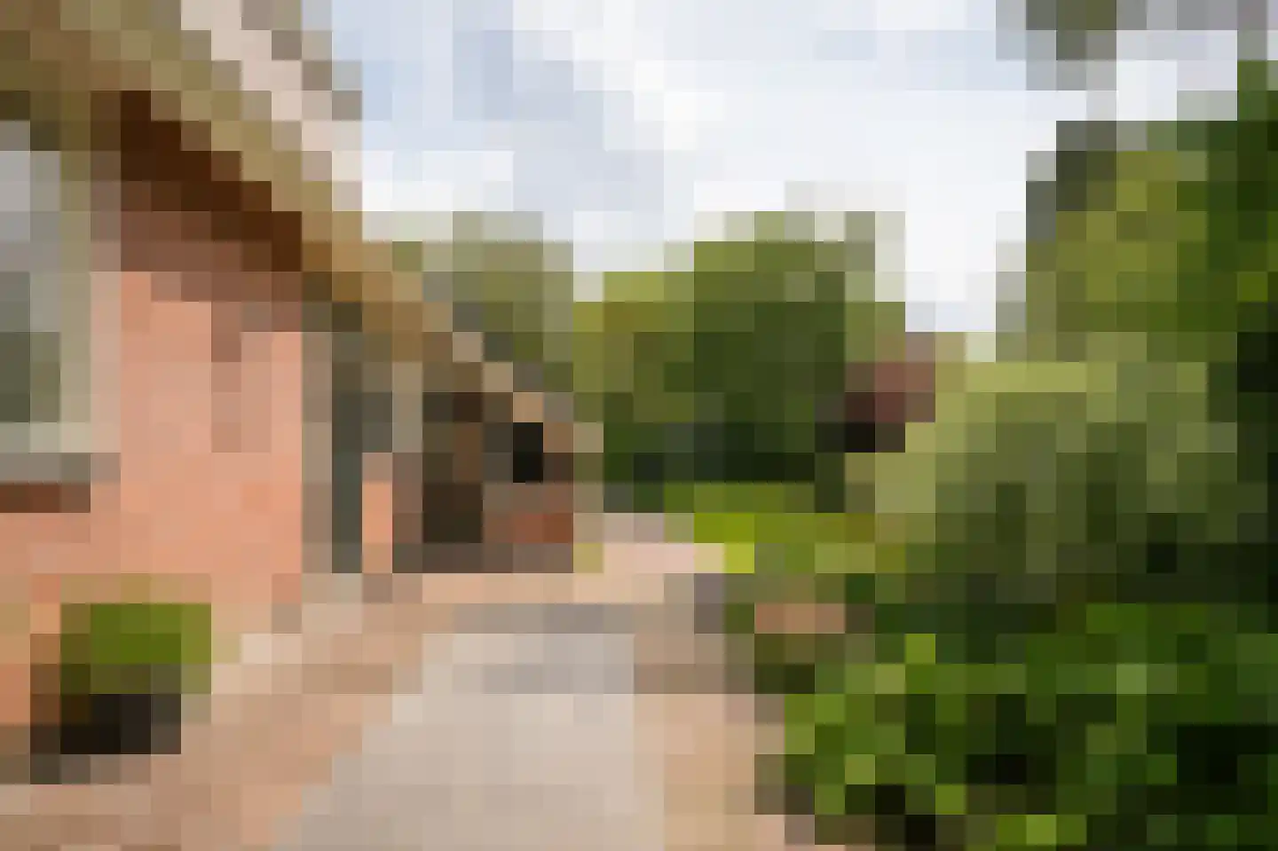 Nachtegaallaan 2 Dodewaard thumbnail 33