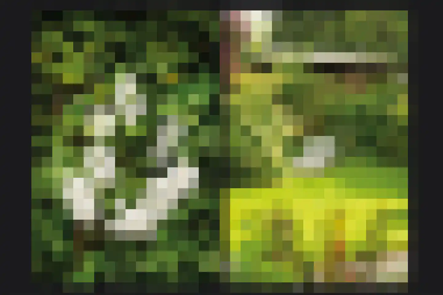 Nachtegaallaan 2 Dodewaard thumbnail 34