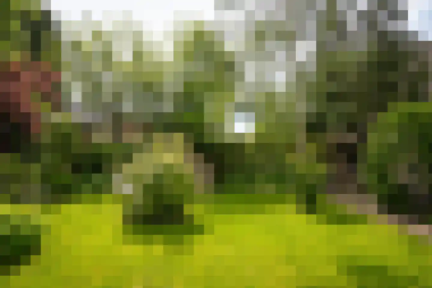 Nachtegaallaan 2 Dodewaard thumbnail 35