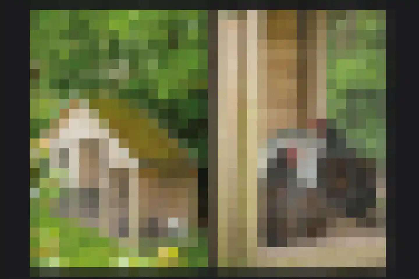Nachtegaallaan 2 Dodewaard thumbnail 36