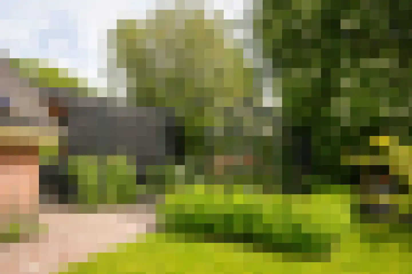 Nachtegaallaan 2 Dodewaard thumbnail 37