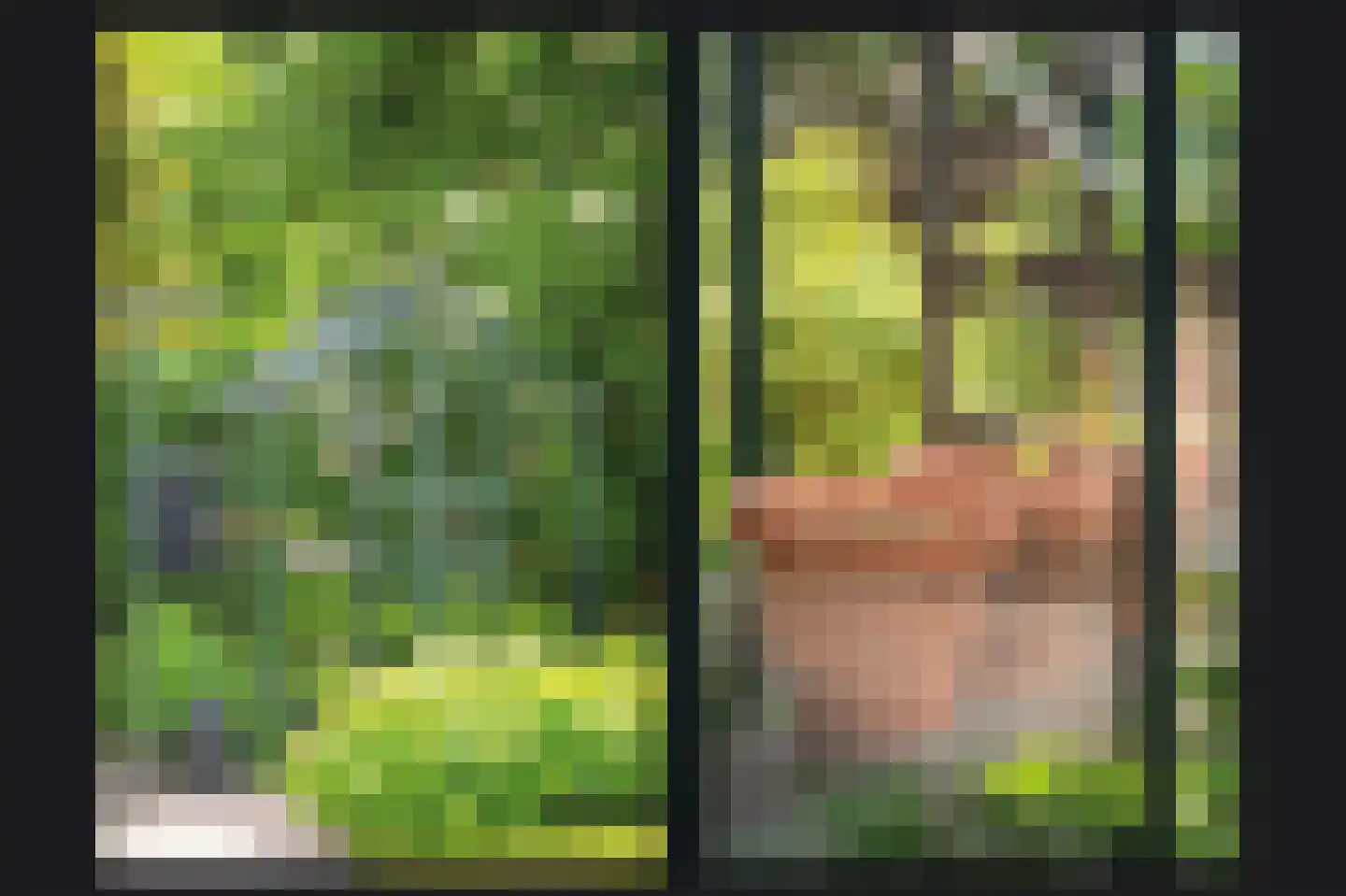 Nachtegaallaan 2 Dodewaard thumbnail 38