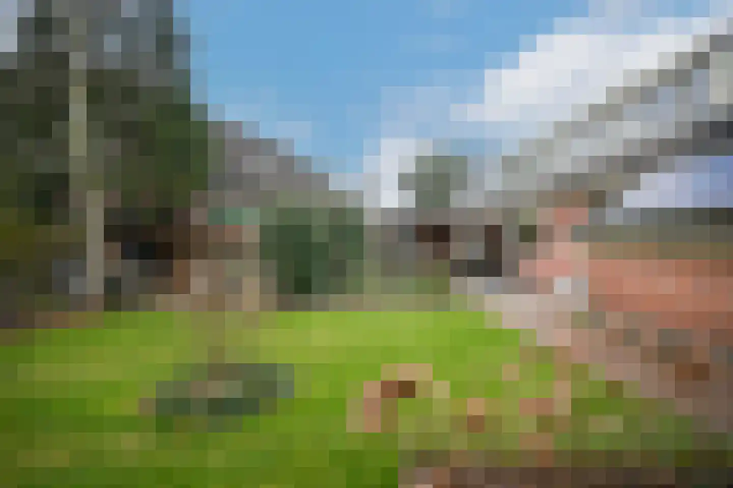 Nachtegaallaan 2 Dodewaard thumbnail 38