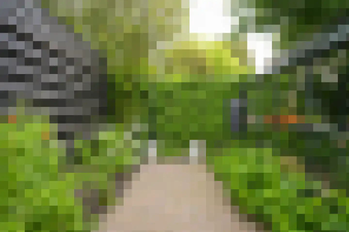 Nachtegaallaan 2 Dodewaard thumbnail 39