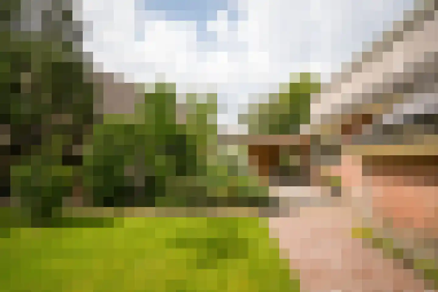 Nachtegaallaan 2 Dodewaard thumbnail 40