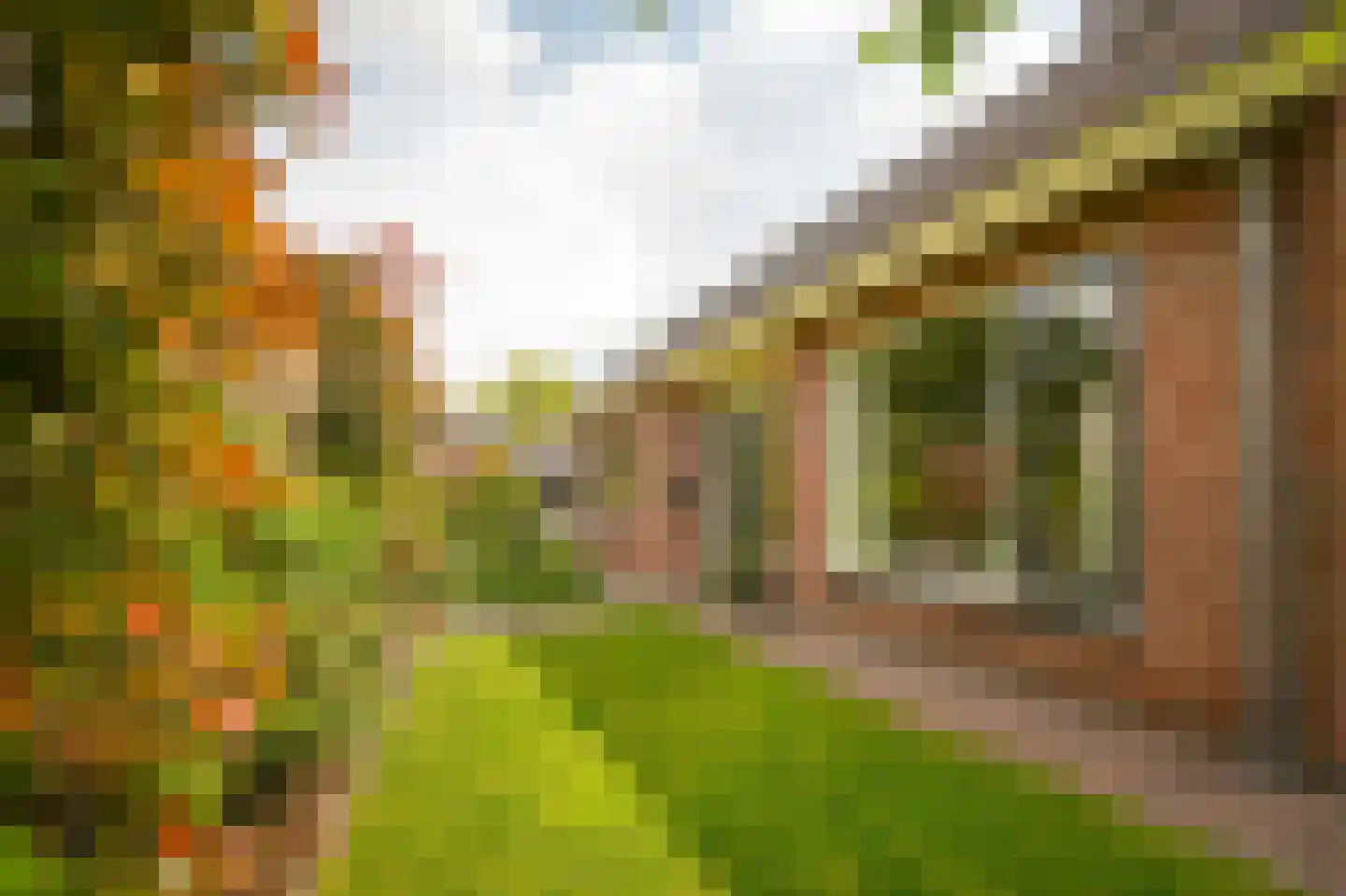 Nachtegaallaan 2 Dodewaard thumbnail 45