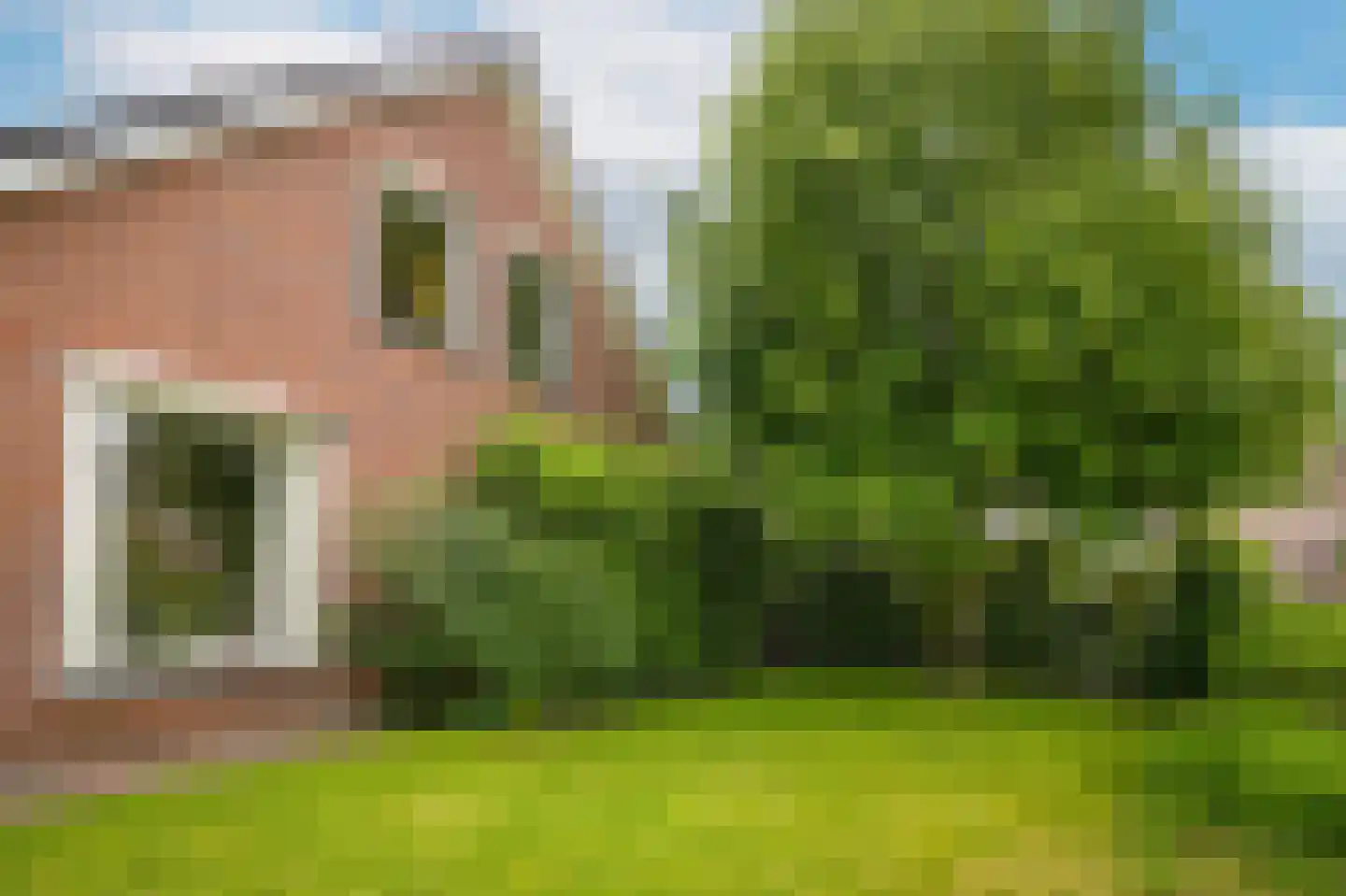 Nachtegaallaan 2 Dodewaard thumbnail 46