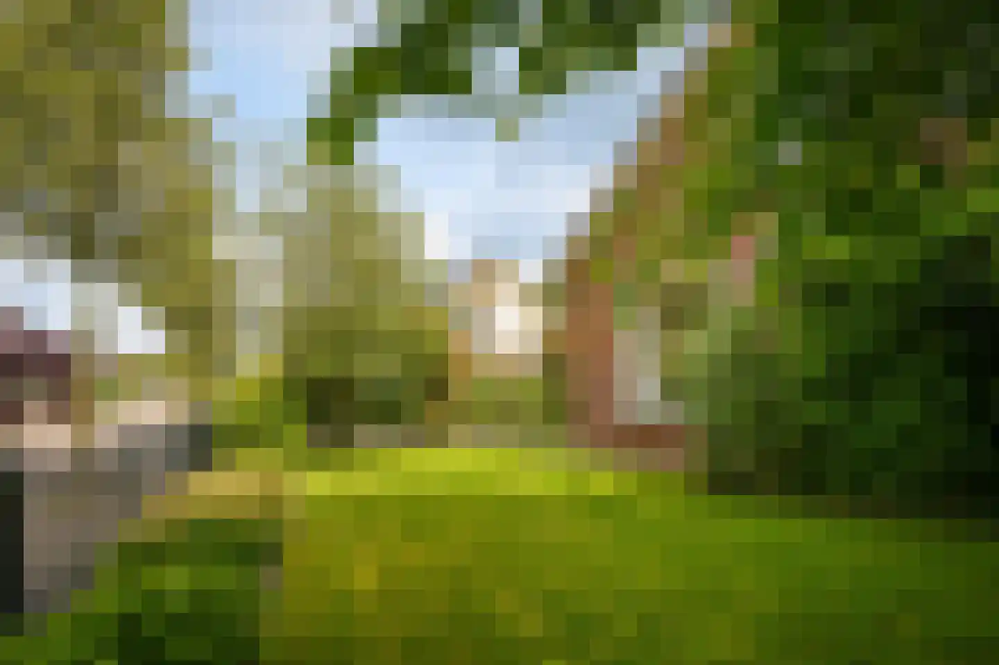 Nachtegaallaan 2 Dodewaard thumbnail 47