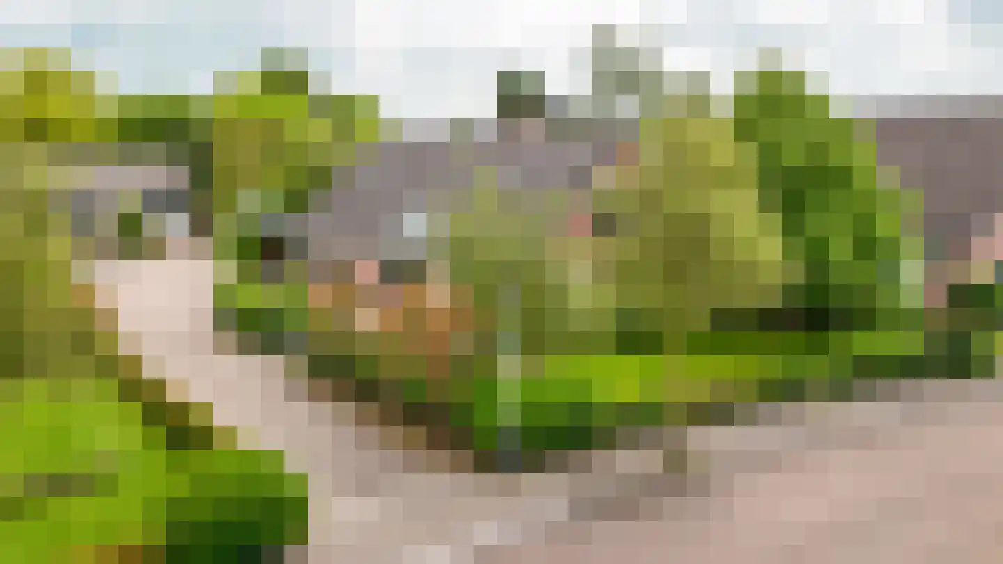 Nachtegaallaan 2 Dodewaard thumbnail 48