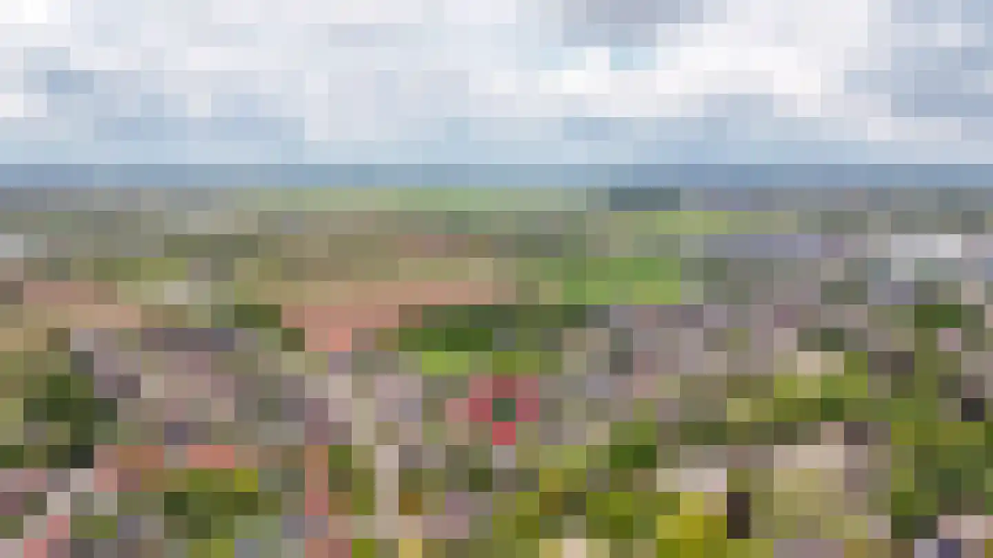 Nachtegaallaan 2 Dodewaard thumbnail 56