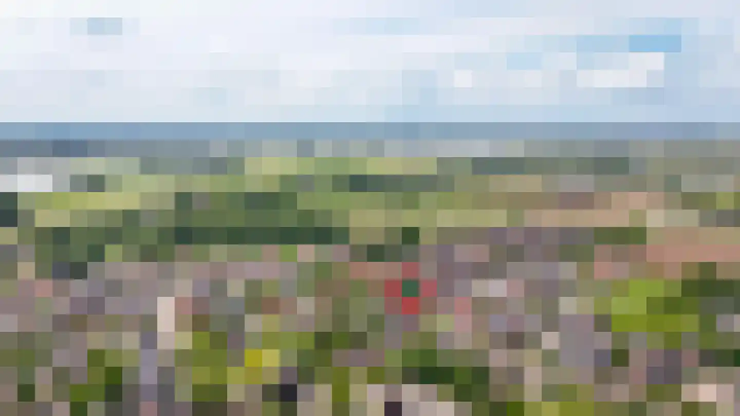 Nachtegaallaan 2 Dodewaard thumbnail 57