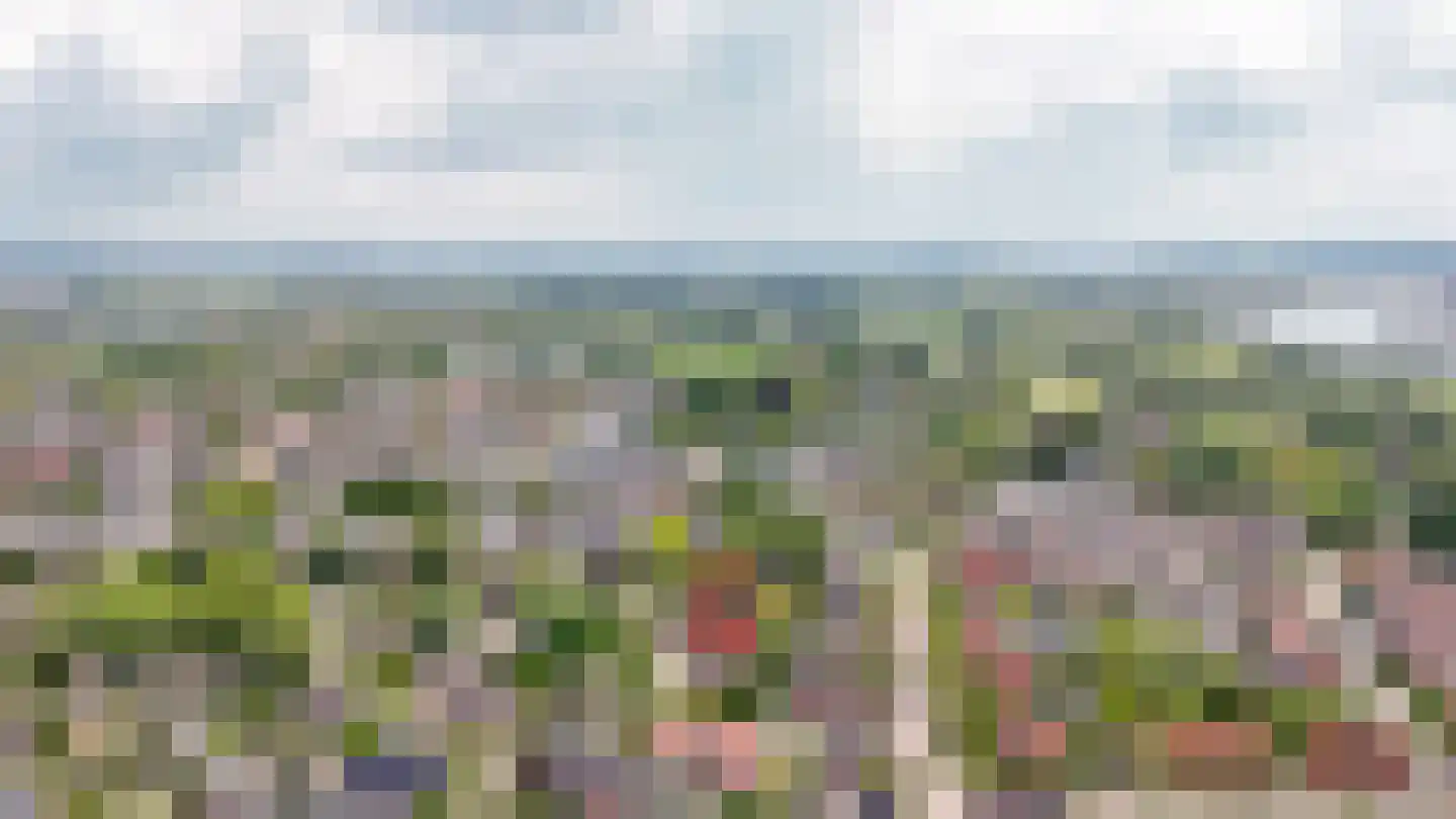 Nachtegaallaan 2 Dodewaard thumbnail 58