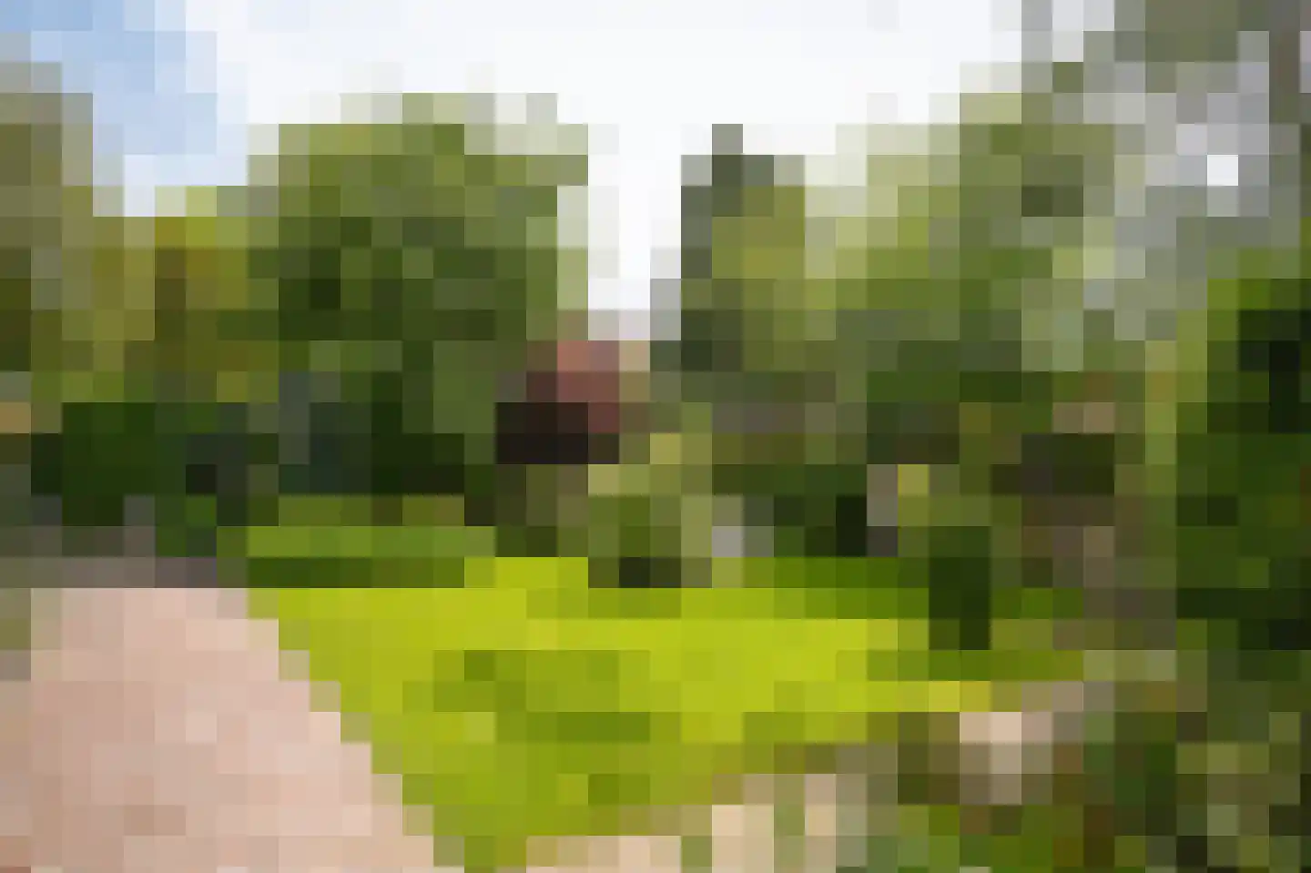 Nachtegaallaan 2 Dodewaard thumbnail 6
