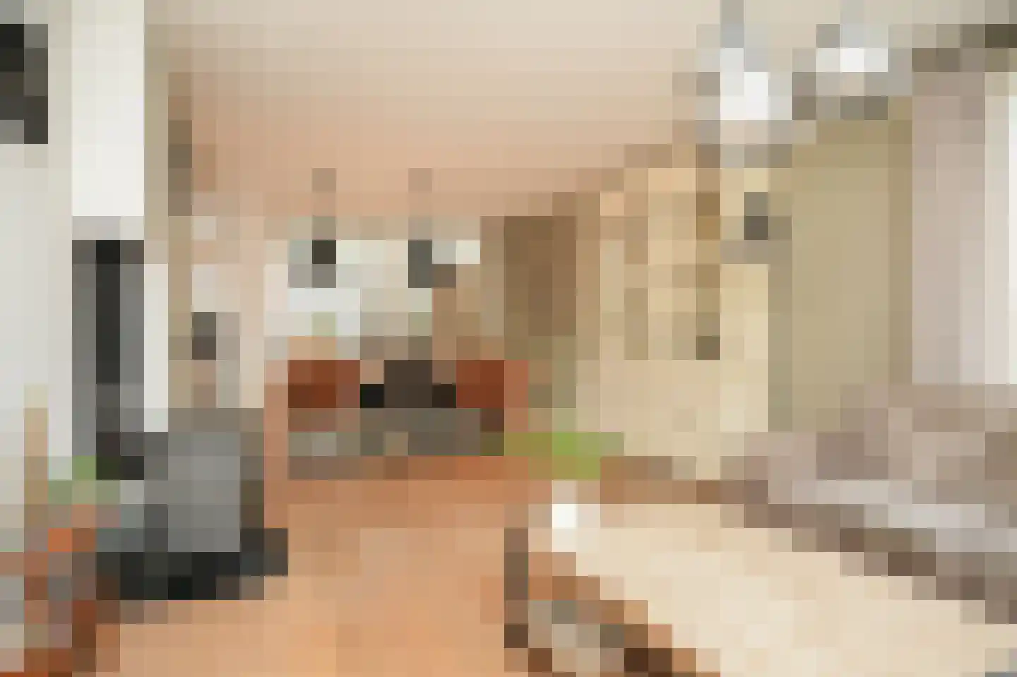 Nachtegaallaan 2 Dodewaard thumbnail 8
