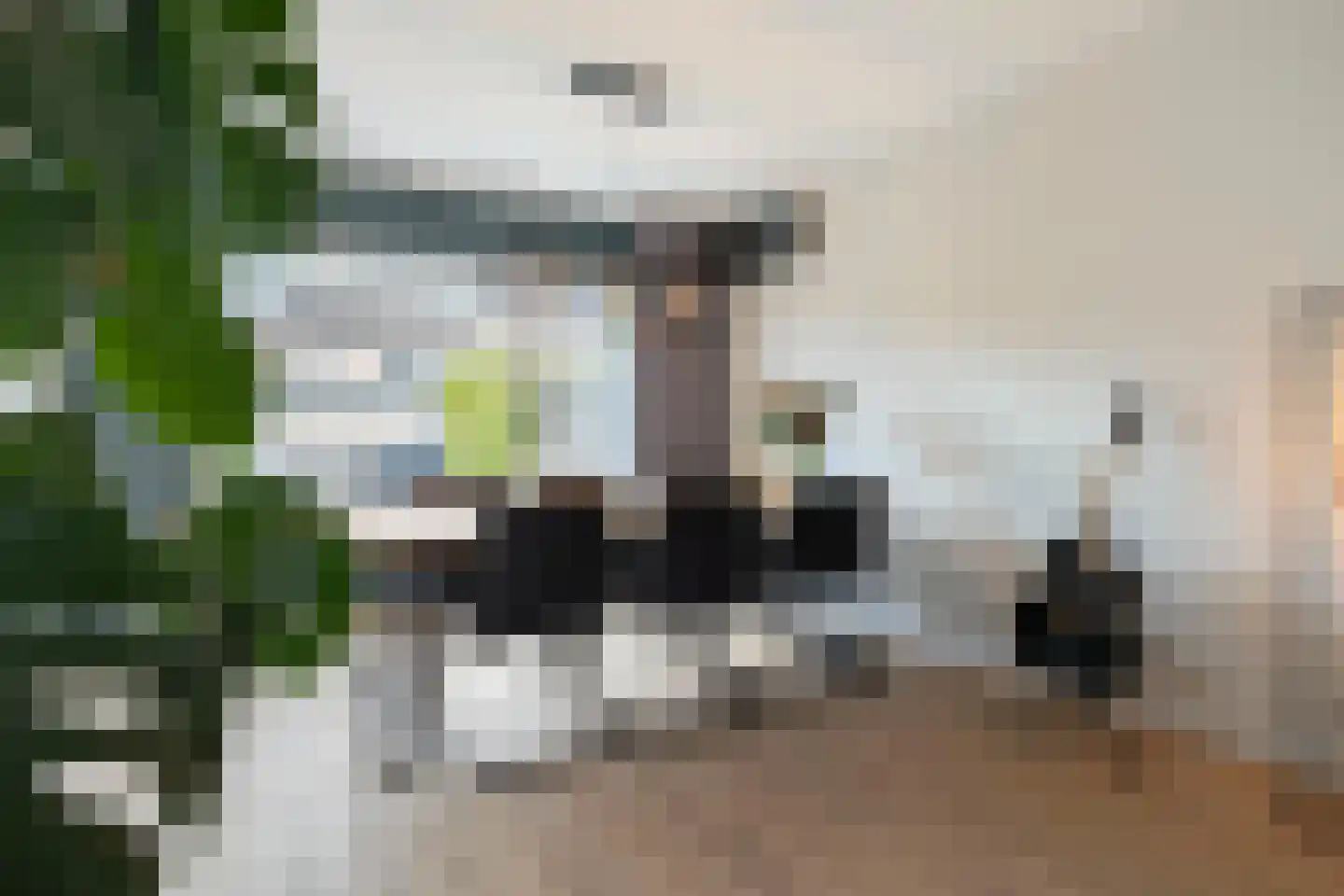 Nachtegaallaan 21 Anna Paulowna thumbnail 9