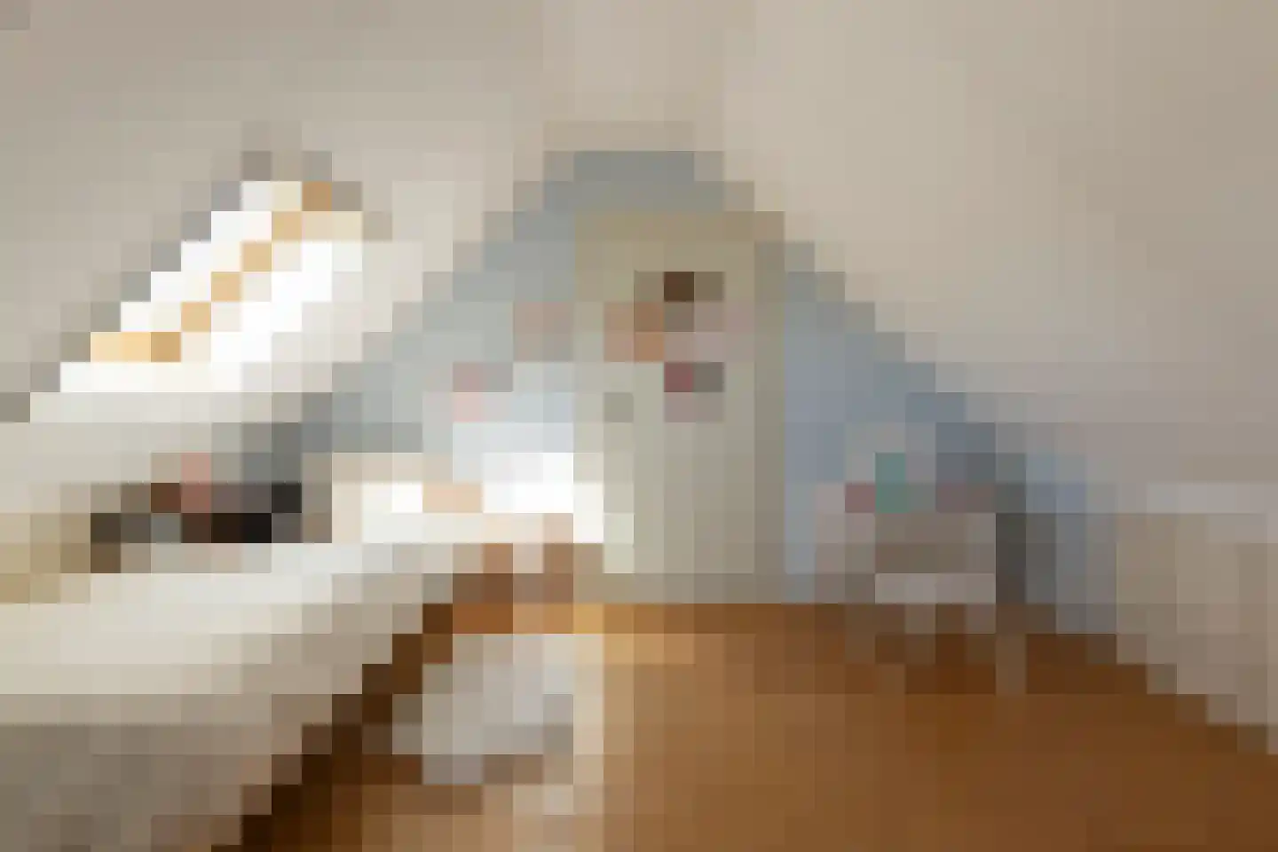 Nachtegaallaan 22 Ede thumbnail 31