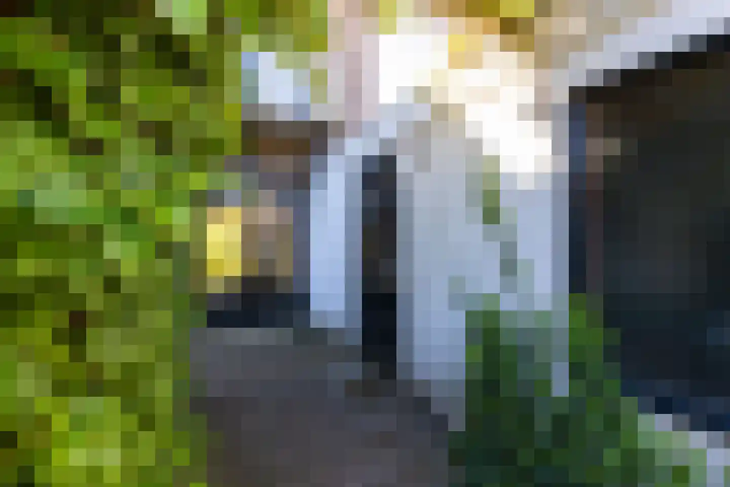Nachtegaallaan 22 Ede thumbnail 37