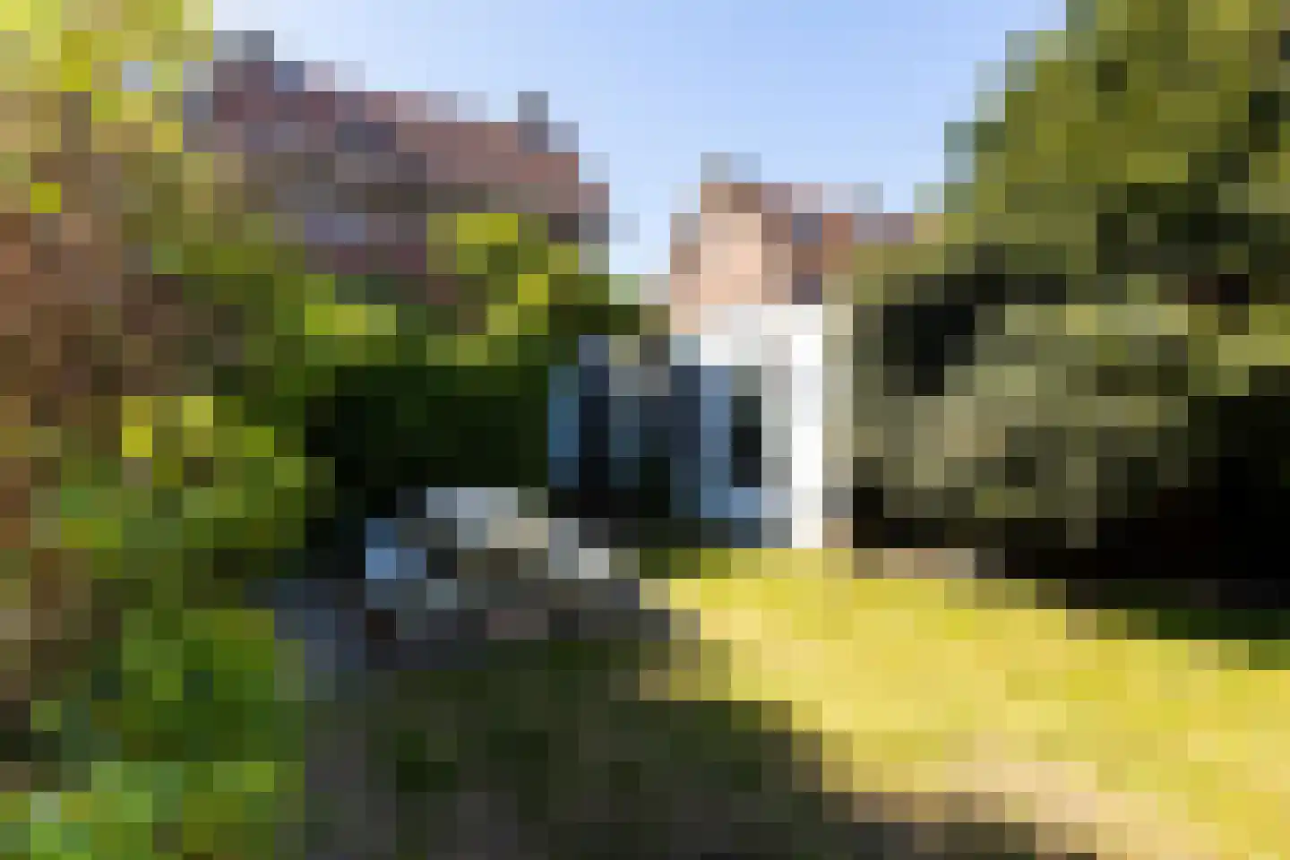 Nachtegaallaan 22 Ede thumbnail 38