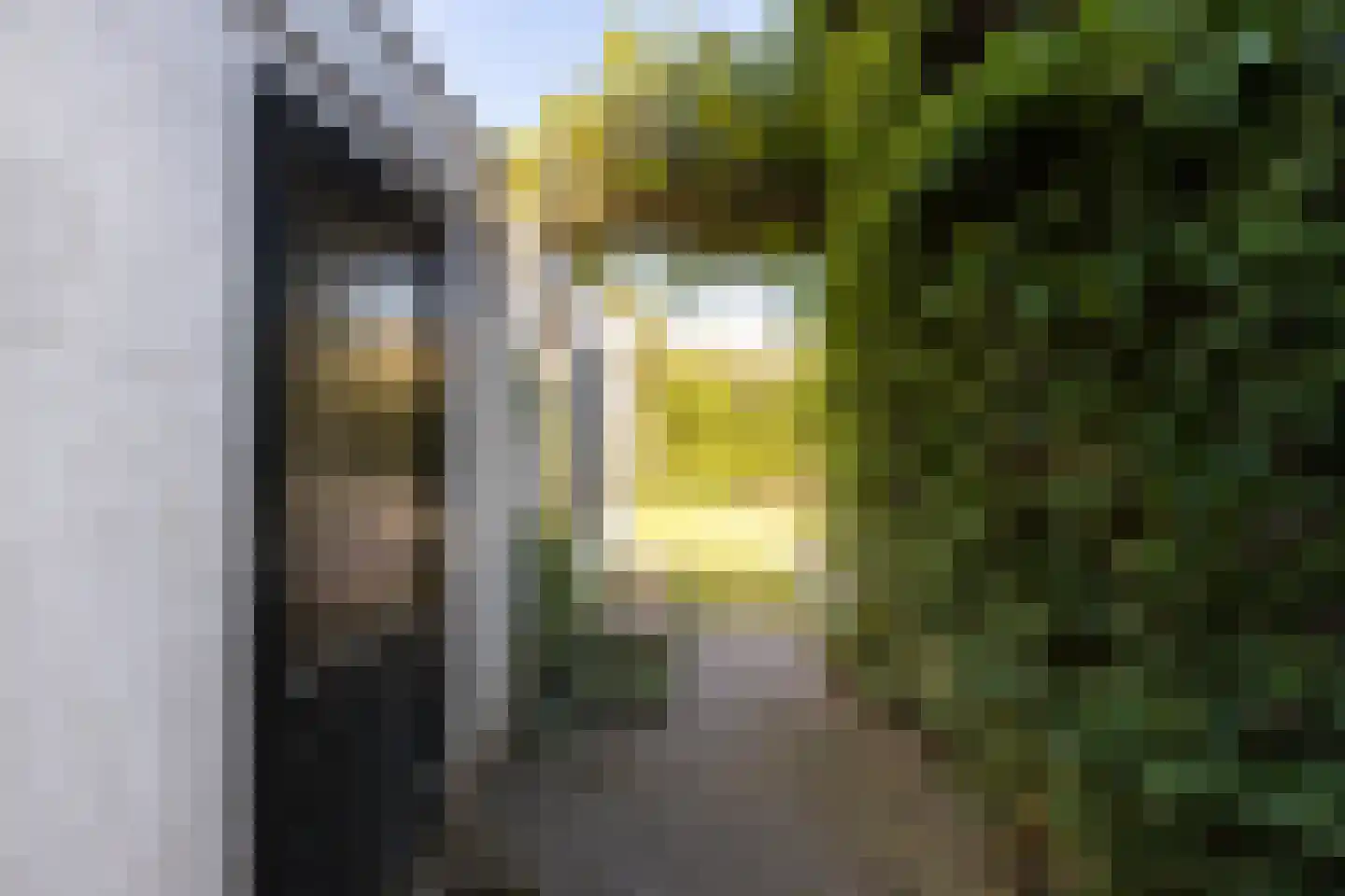 Nachtegaallaan 22 Ede thumbnail 39