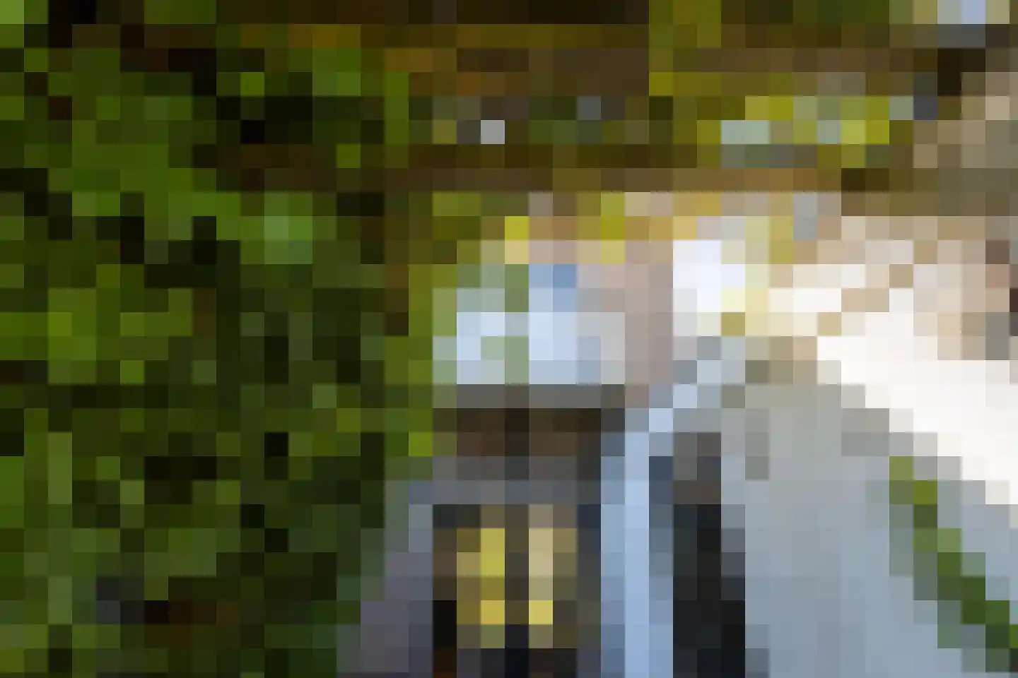Nachtegaallaan 22 Ede thumbnail 43