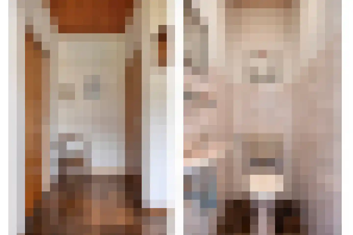 Nachtegaallaan 22 Mierlo thumbnail 10
