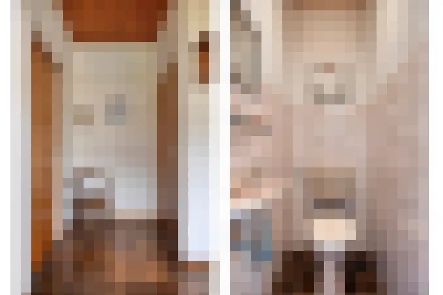 Nachtegaallaan 22 Mierlo thumbnail 10