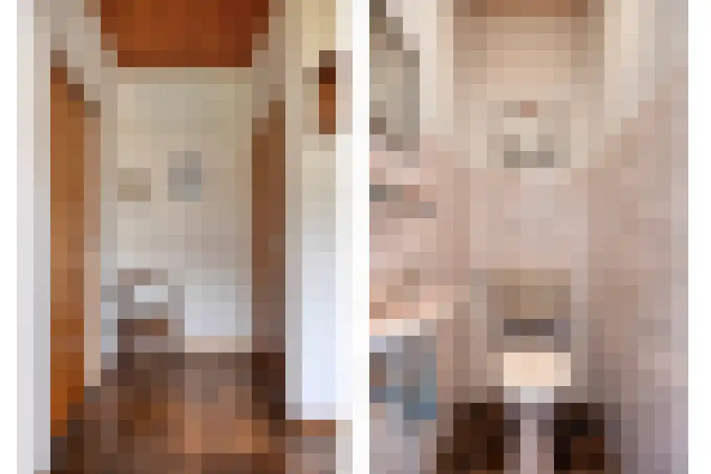 Nachtegaallaan 22 Mierlo thumbnail 10
