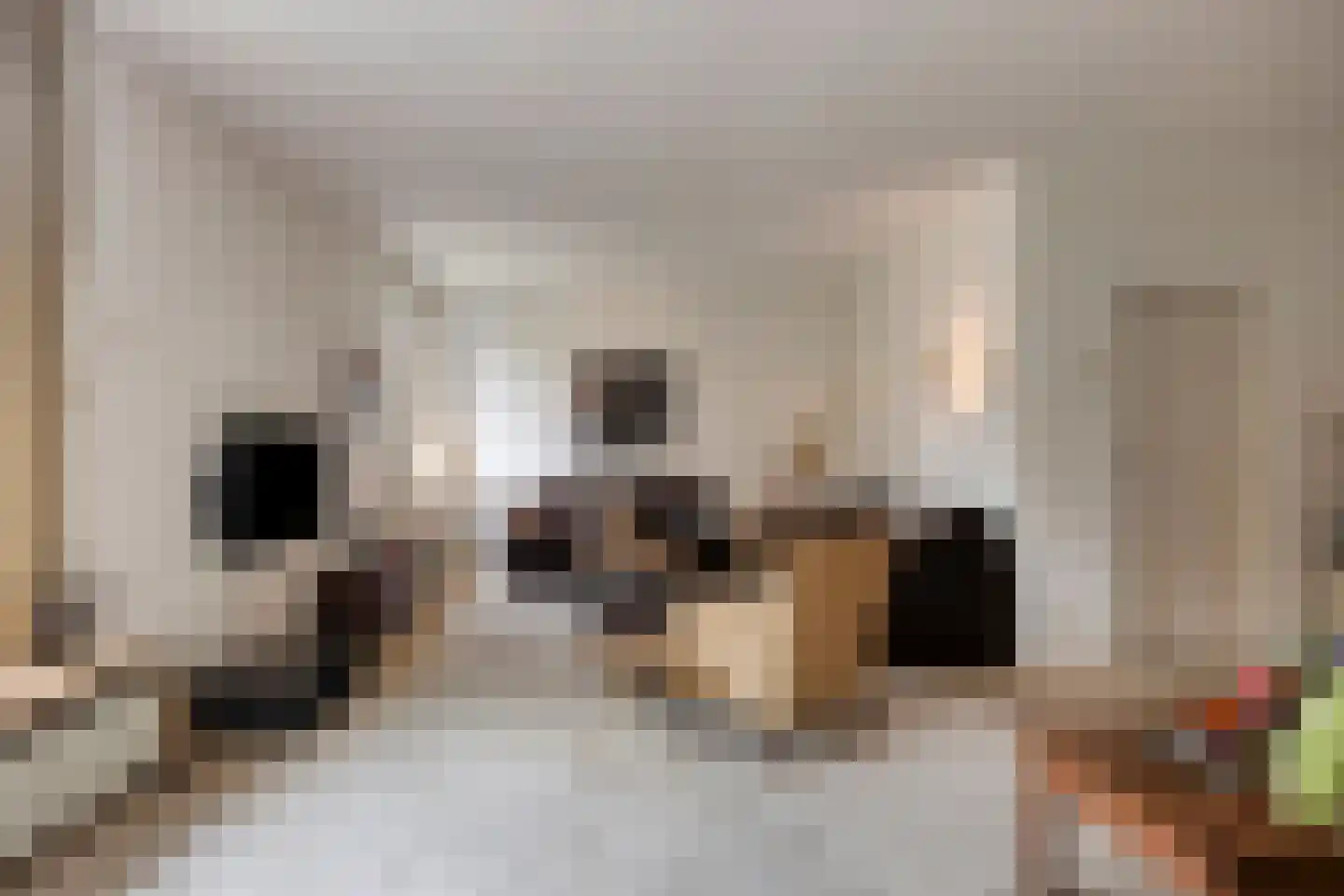 Nachtegaallaan 22 Mierlo thumbnail 12
