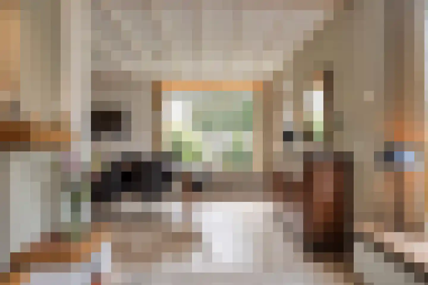 Nachtegaallaan 22 Mierlo thumbnail 14