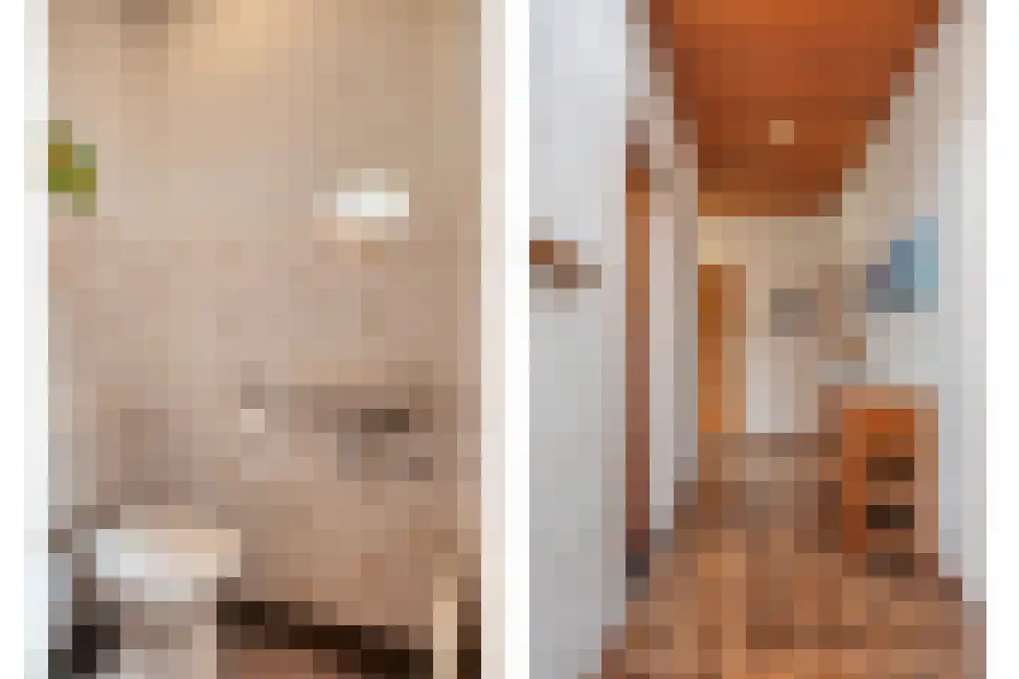 Nachtegaallaan 22 Mierlo thumbnail 20