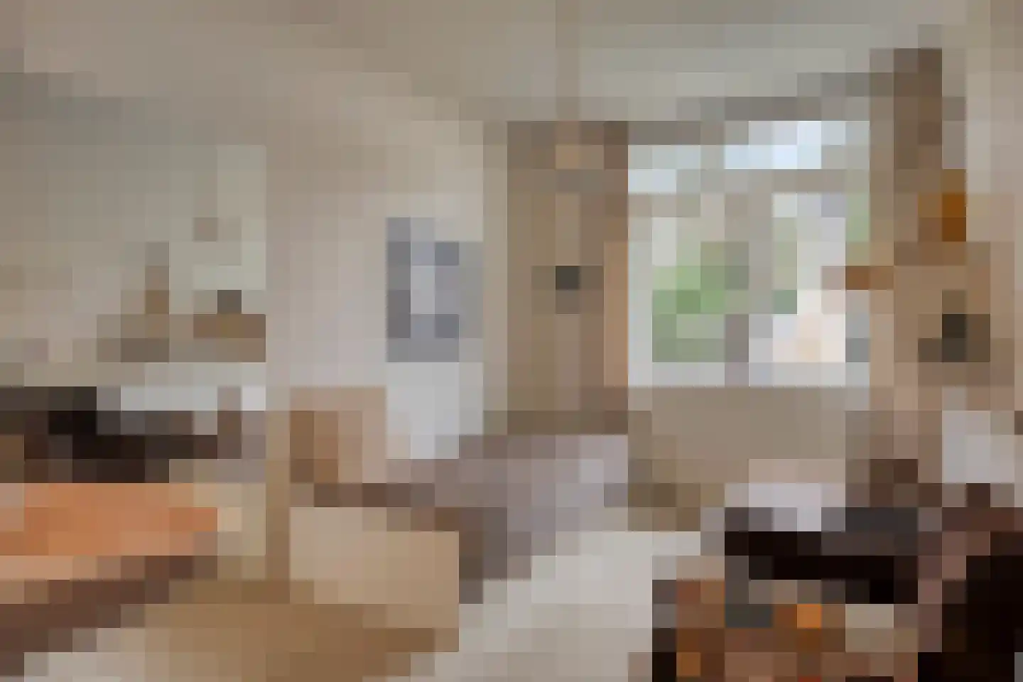 Nachtegaallaan 22 Mierlo thumbnail 27
