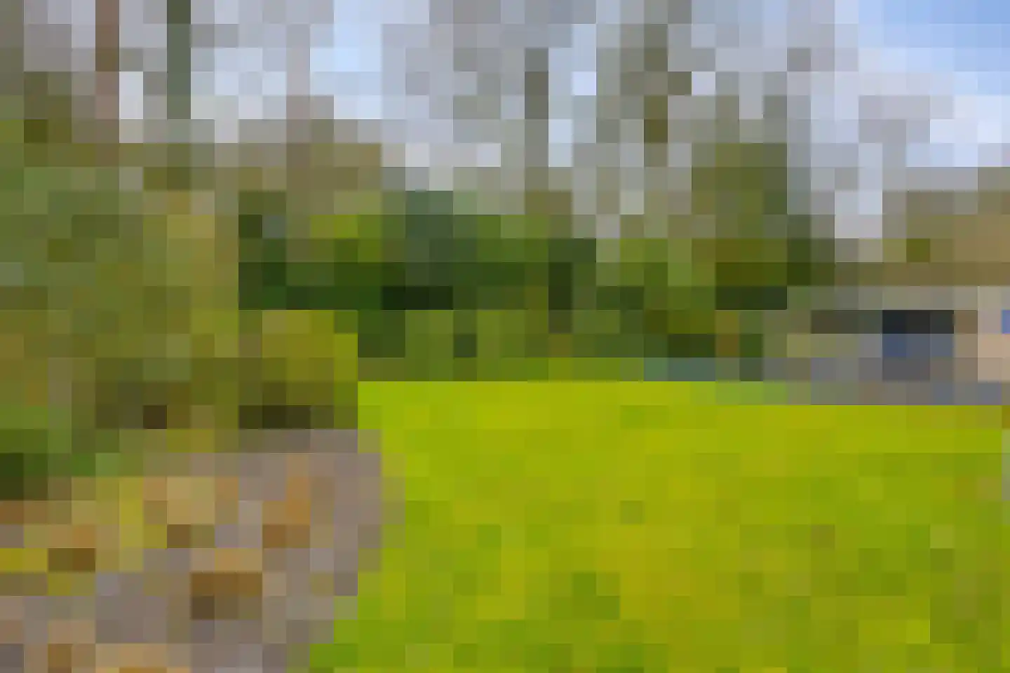 Nachtegaallaan 22 Mierlo thumbnail 31