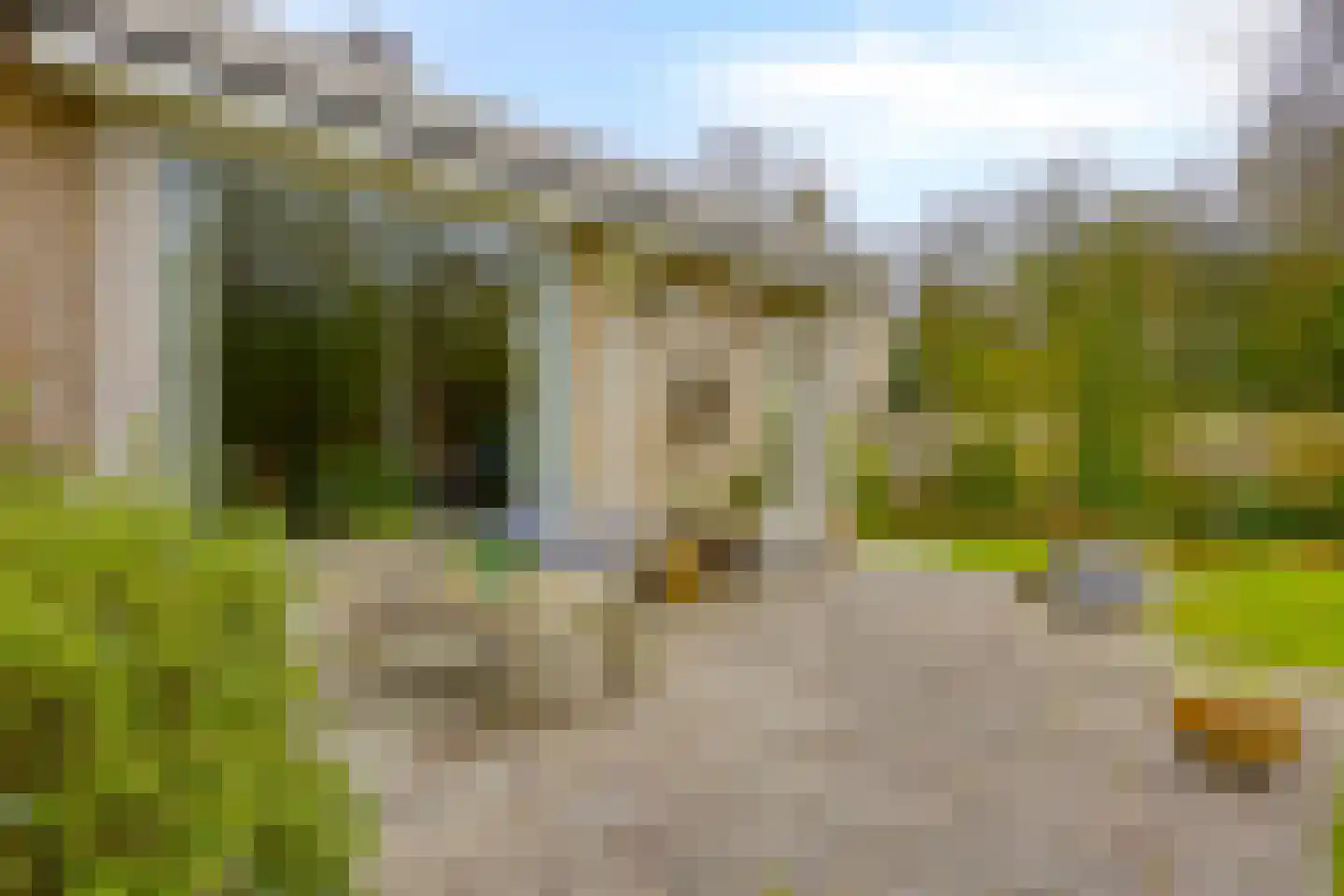 Nachtegaallaan 22 Mierlo thumbnail 32