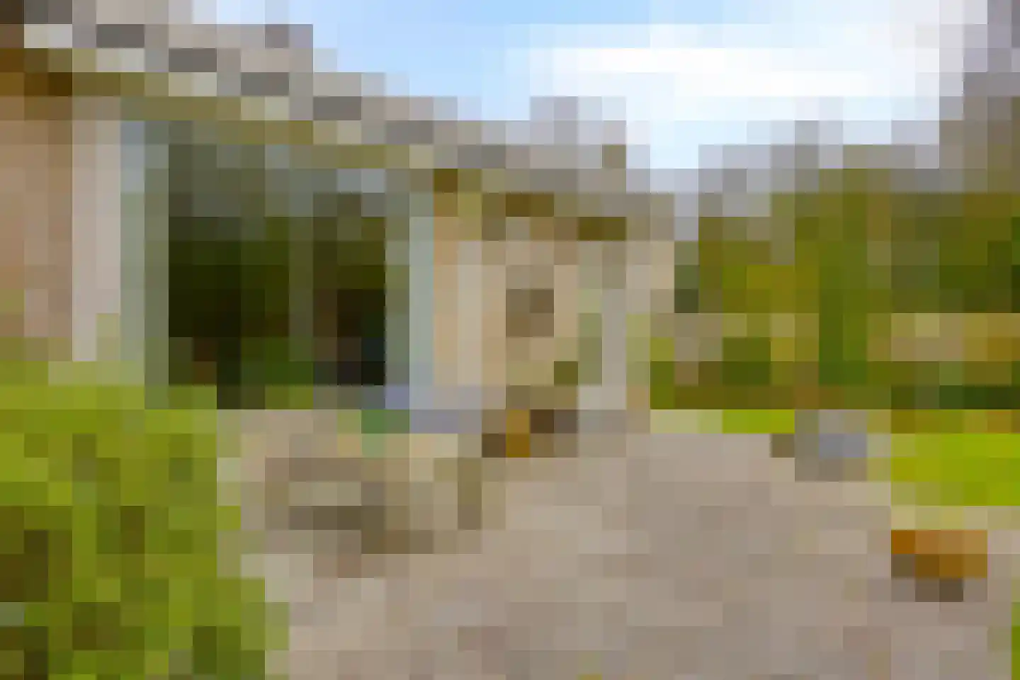 Nachtegaallaan 22 Mierlo thumbnail 32