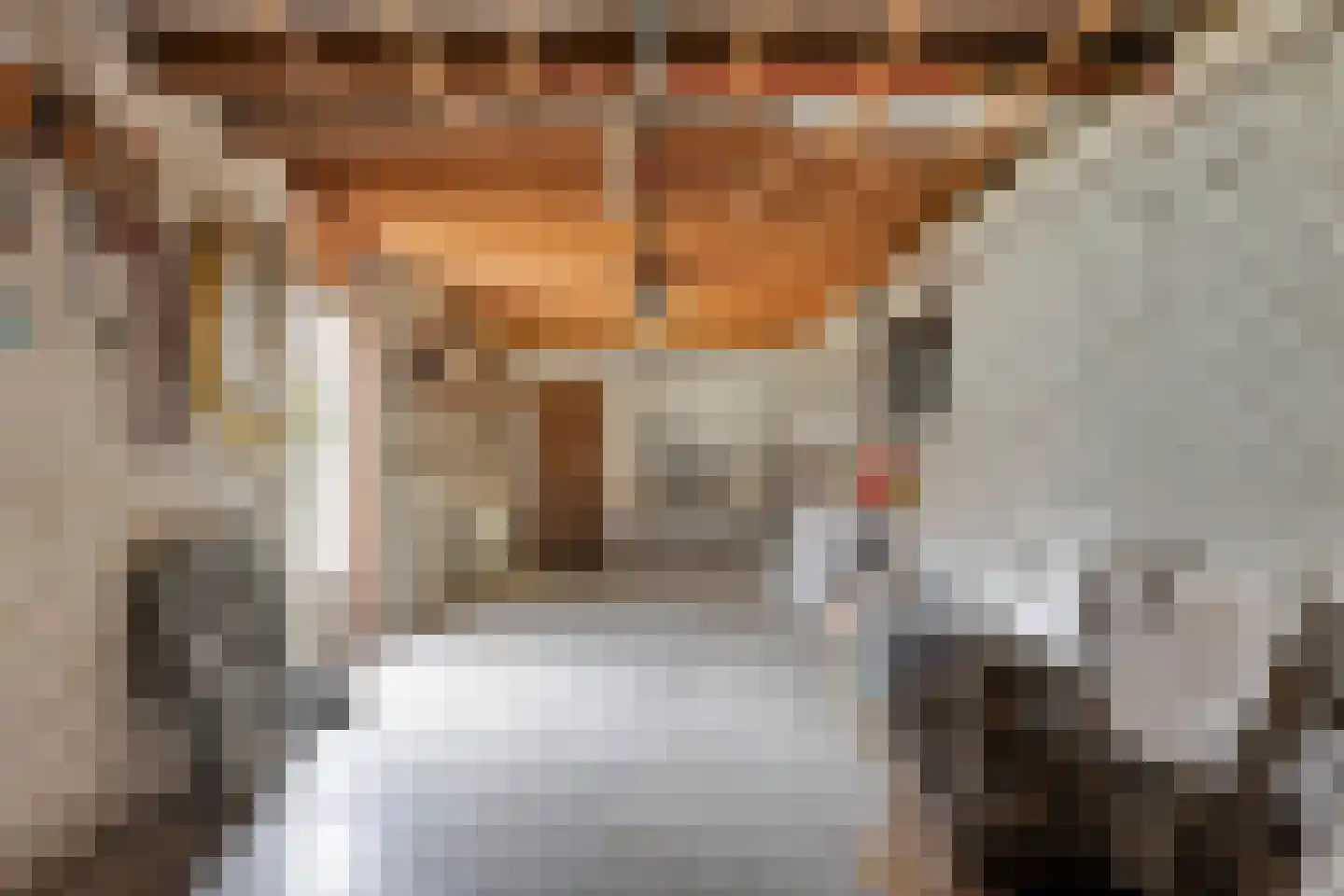 Nachtegaallaan 22 Mierlo thumbnail 38