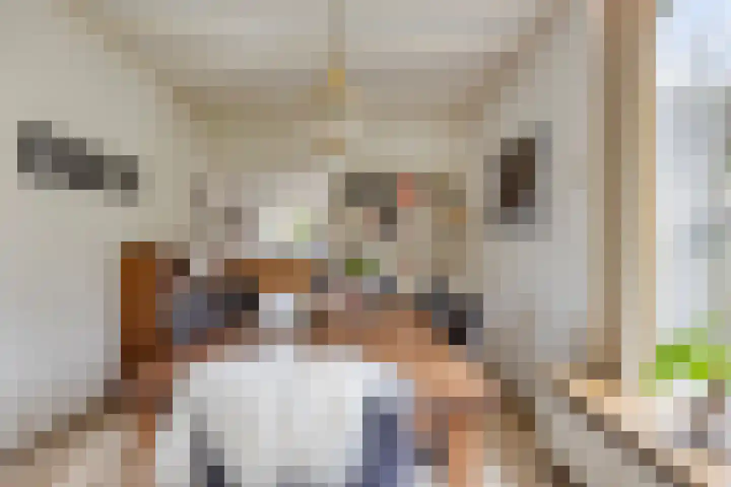 Nachtegaallaan 22 Mierlo thumbnail 4