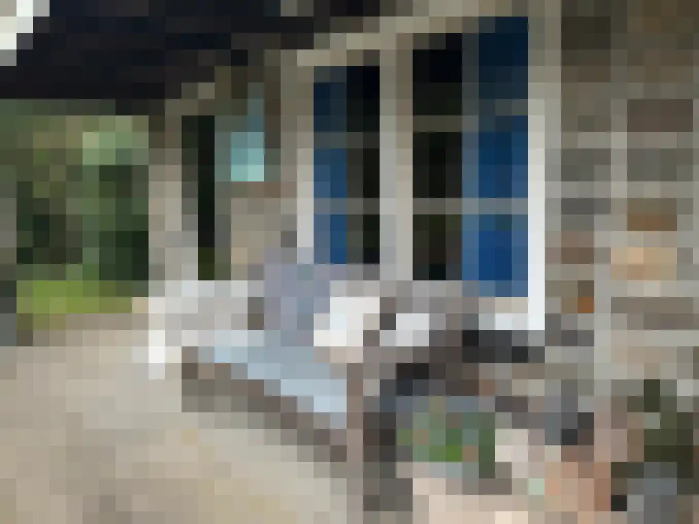 Nachtegaallaan 22 Mierlo thumbnail 42