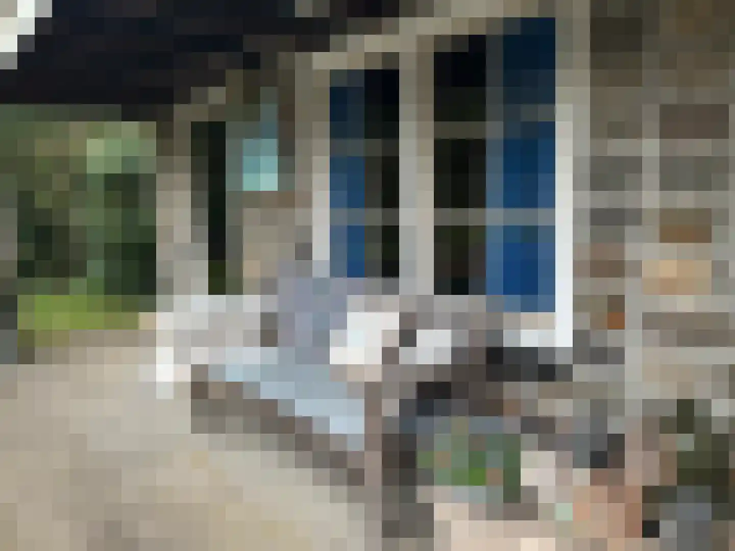 Nachtegaallaan 22 Mierlo thumbnail 42