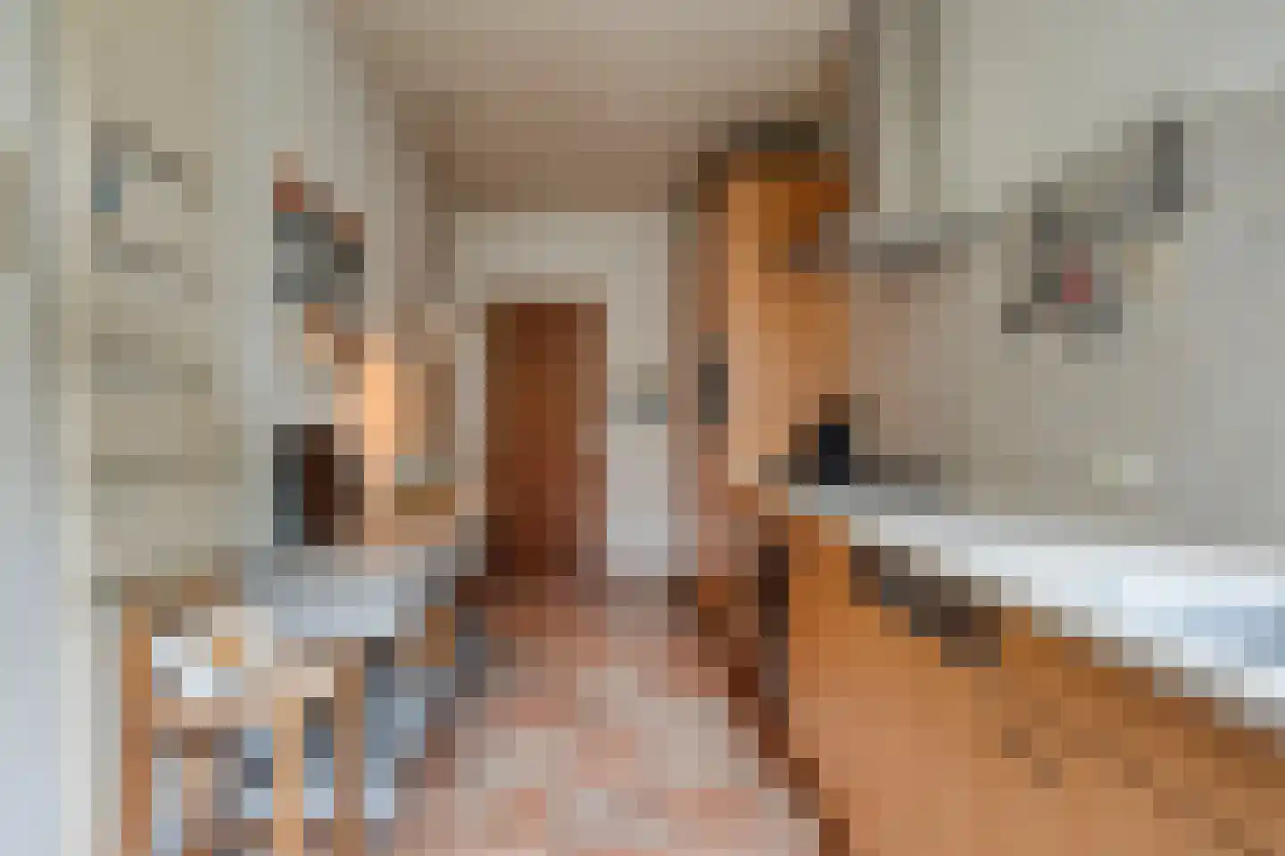 Nachtegaallaan 22 Mierlo thumbnail 5