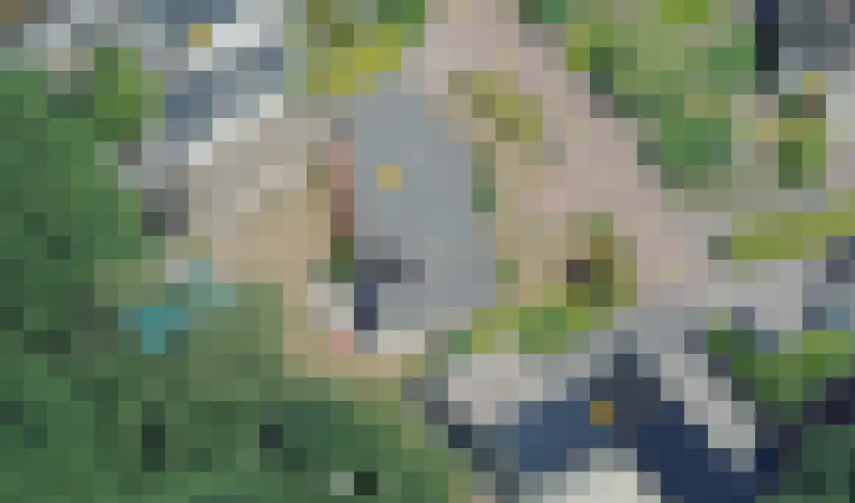 Nachtegaallaan 22 Mierlo thumbnail 50