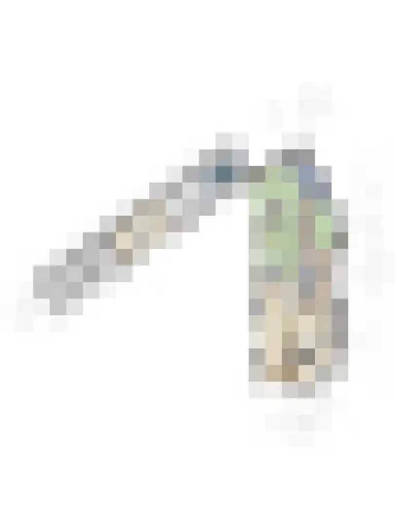 Nachtegaallaan 22 Mierlo thumbnail 54