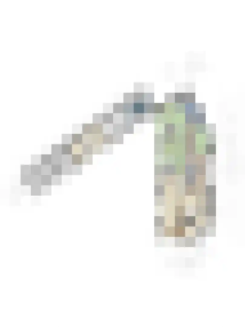 Nachtegaallaan 22 Mierlo thumbnail 54
