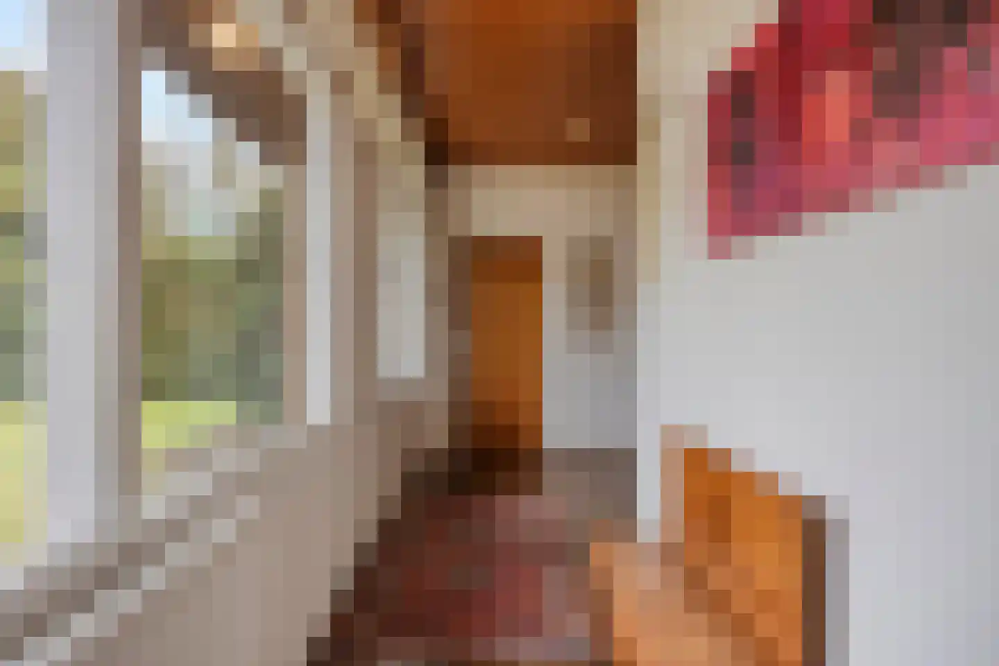 Nachtegaallaan 22 Mierlo thumbnail 9