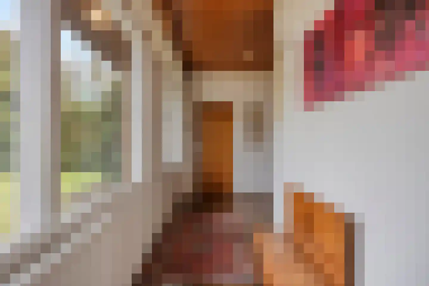 Nachtegaallaan 22 Mierlo thumbnail 9