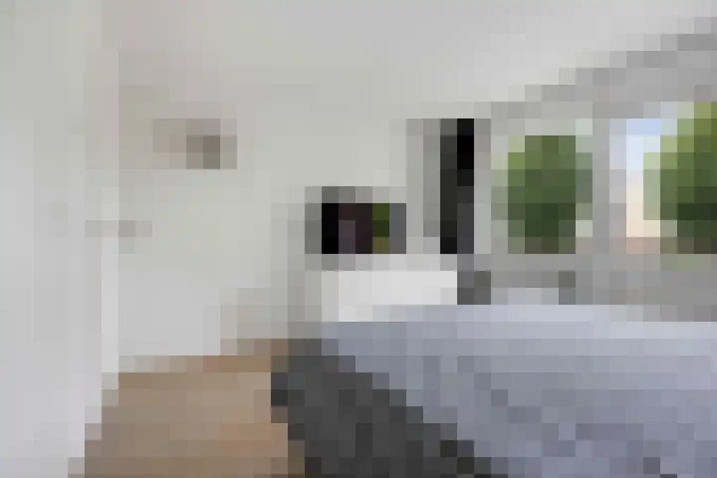 Nachtegaallaan 23 Maassluis thumbnail 24