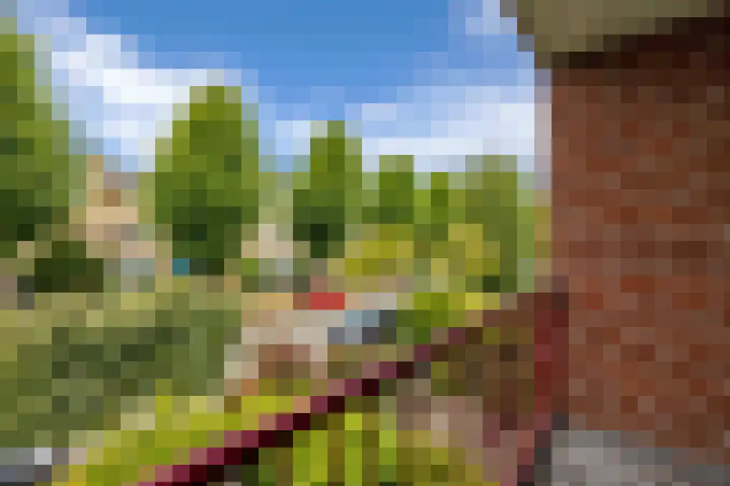 Nachtegaallaan 23 Maassluis thumbnail 26