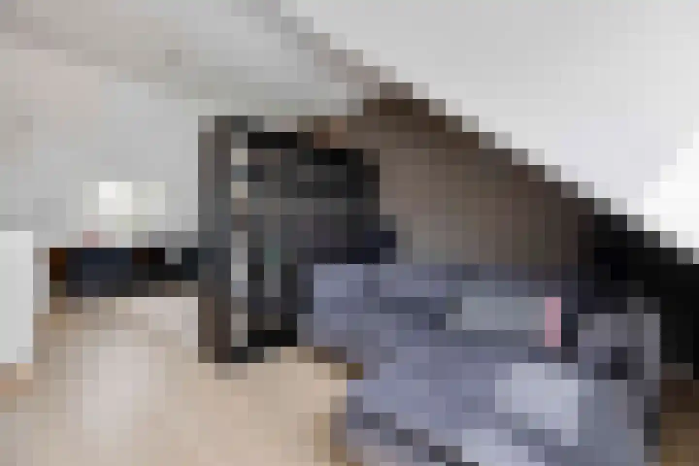 Nachtegaallaan 23 Maassluis thumbnail 43